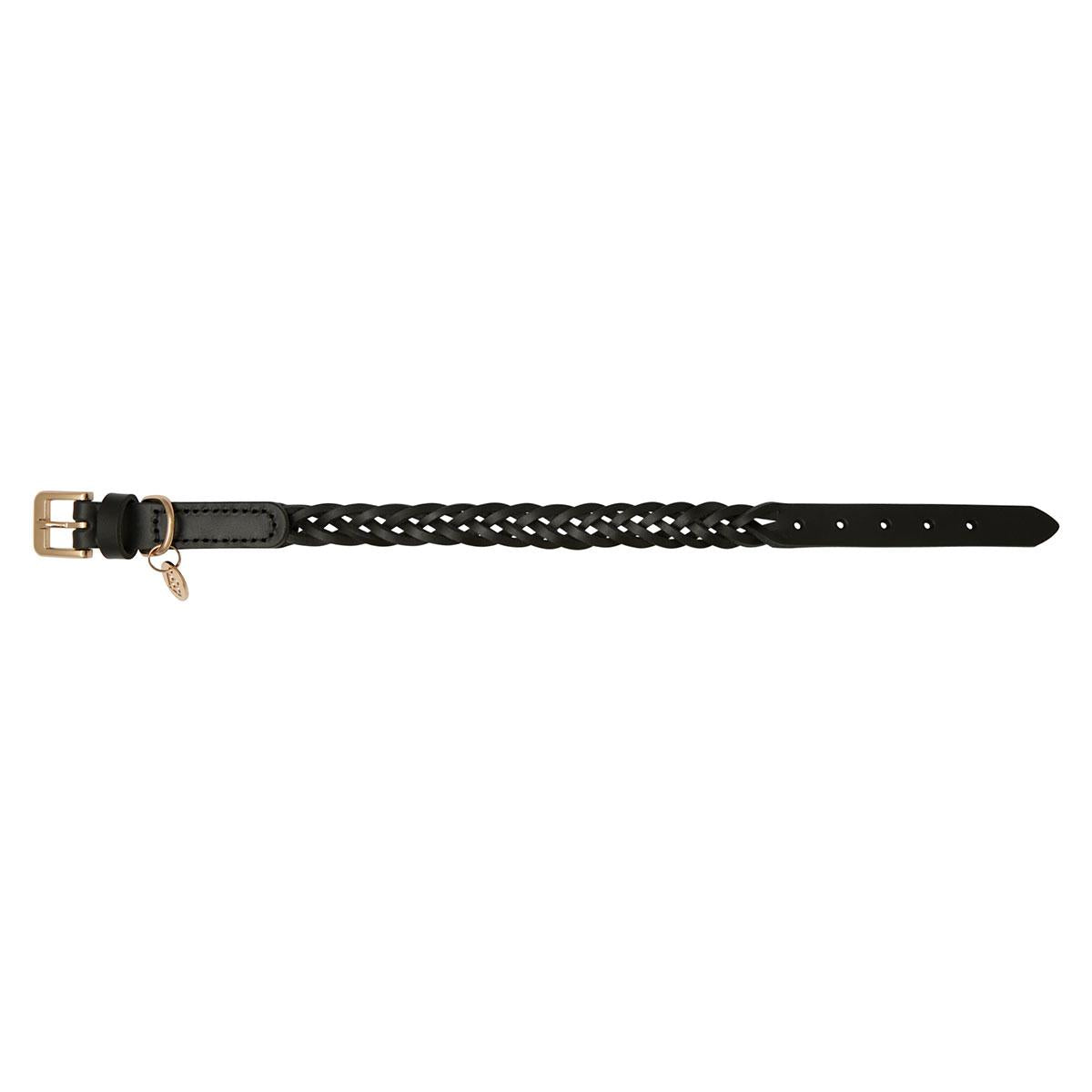 Buddy & Belle Braided Leather Dog Collar