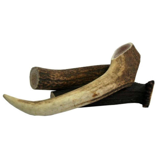 NZ Natural Deer Antler - Single