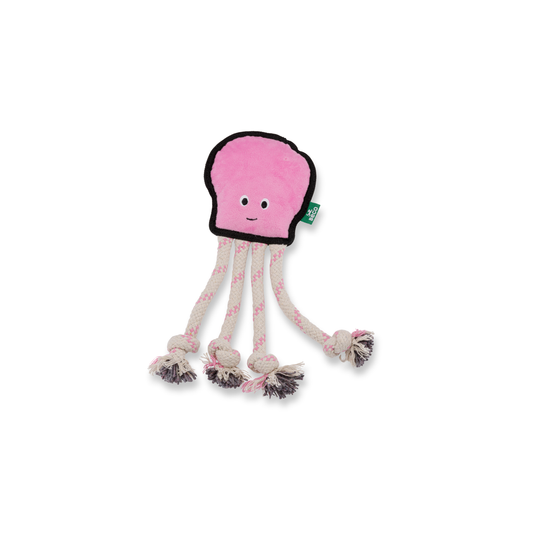 Beco Ollie the Octopus