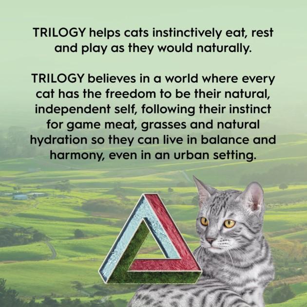 Trilogy Freeze Dried NZ Lamb Cat Treats