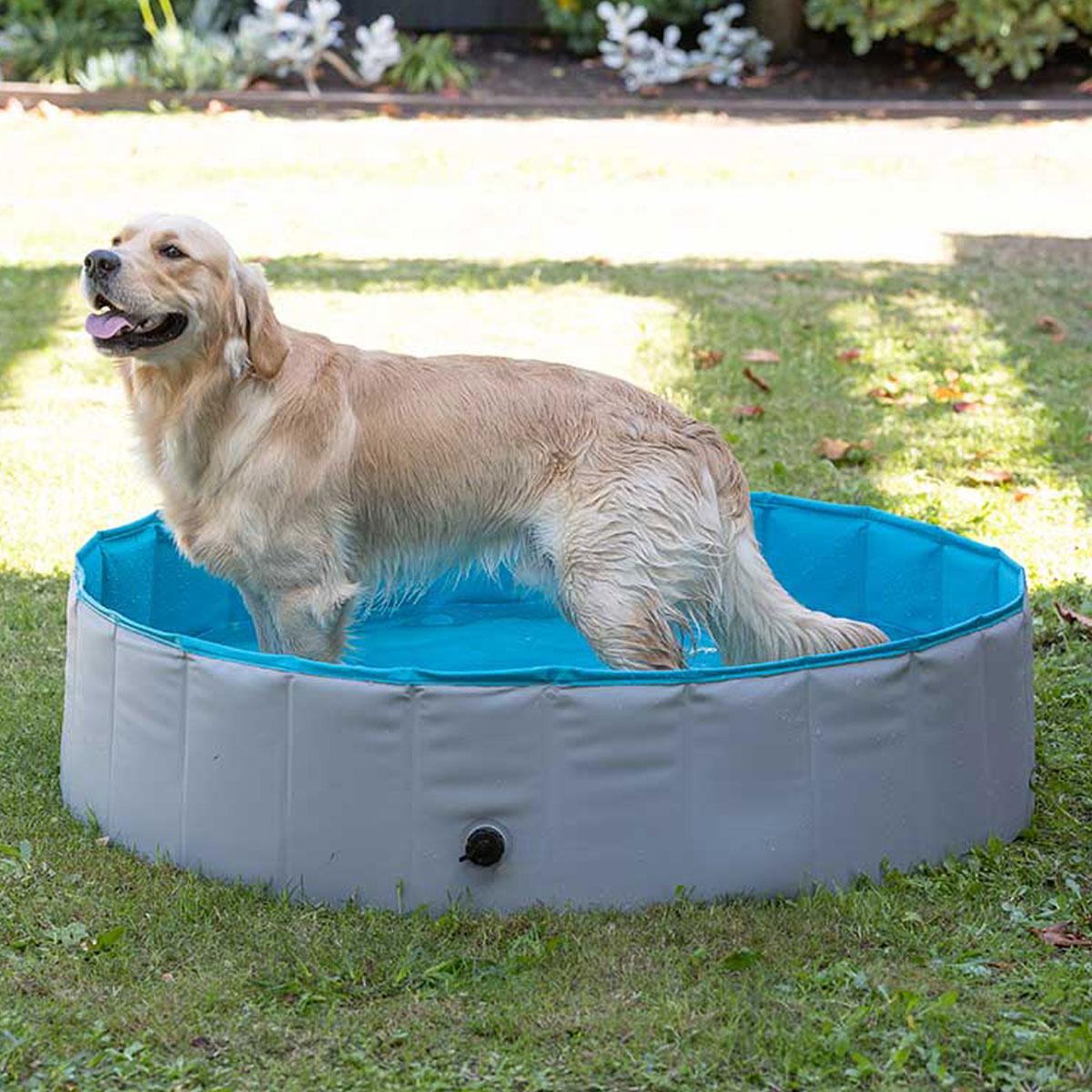 Lexi & Me Pet Pool