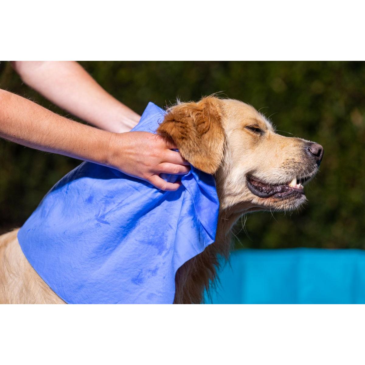 Lexi & Me Quick Dry Towel for Dogs