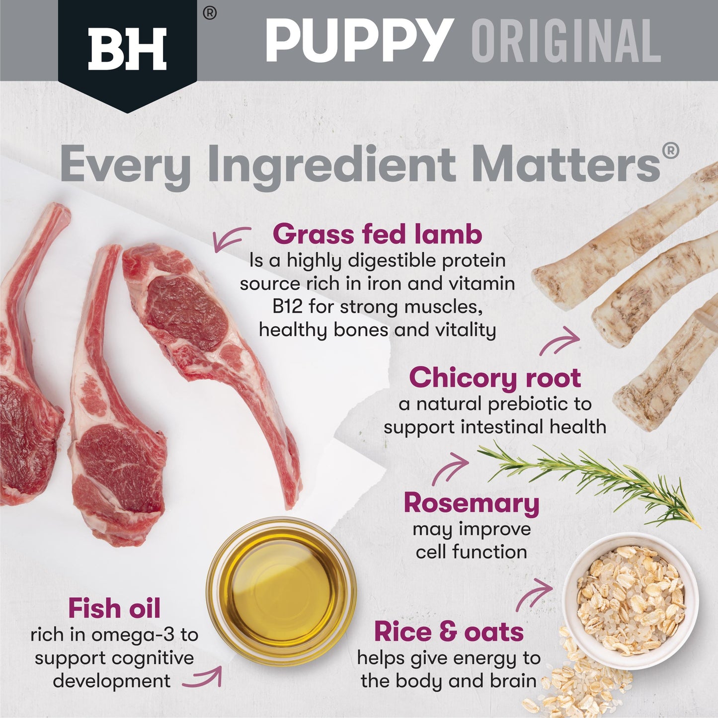 Black Hawk Puppy Small Breed Lamb & Rice Dry Dog Food