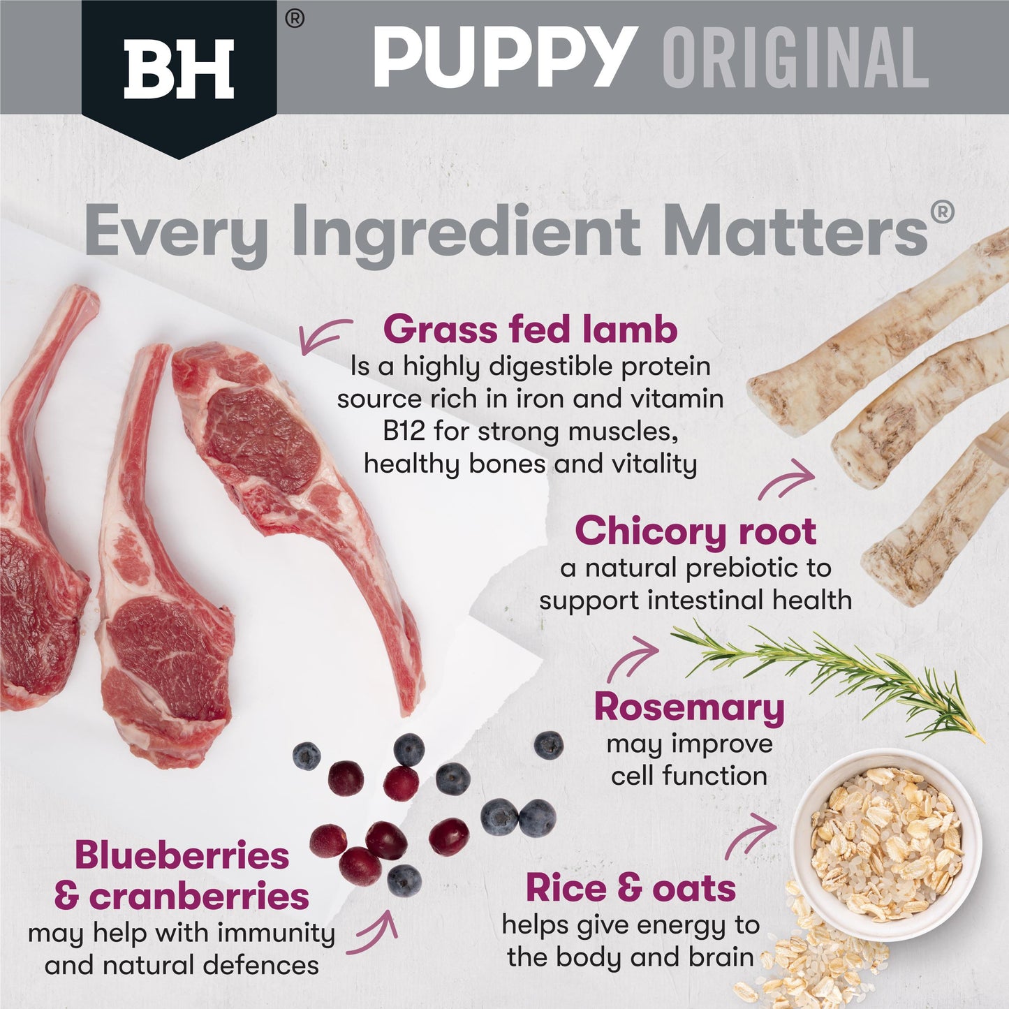 Black Hawk Puppy Medium Breed Lamb & Rice Dry Dog Food