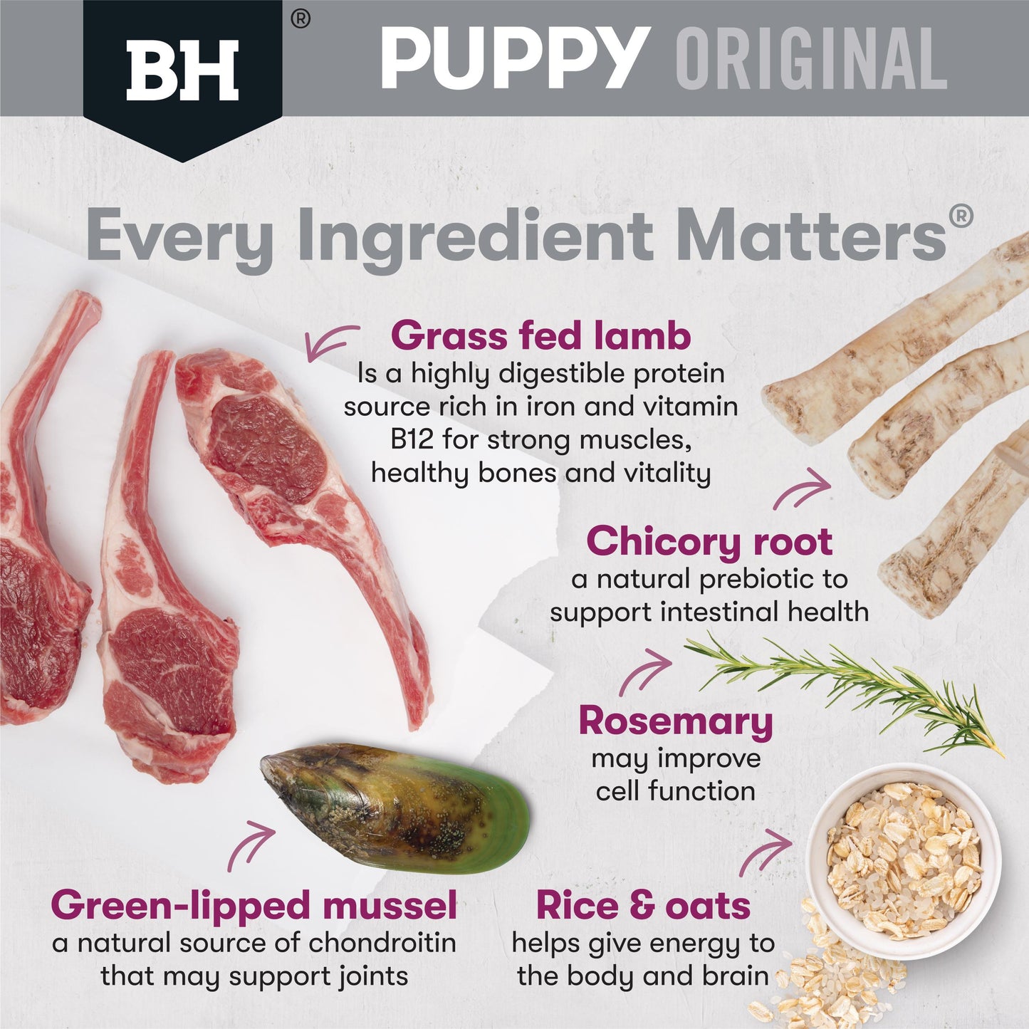 Black Hawk Puppy Large Breed Lamb & Rice Dry Dog Food
