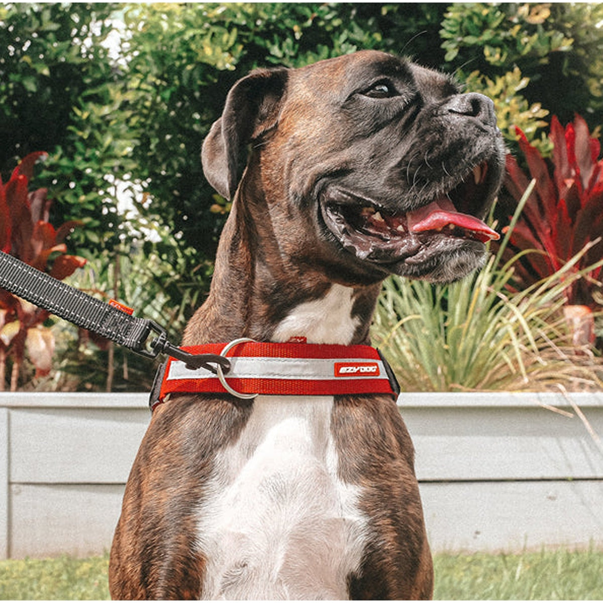 EzyDog UpFront D-Ring Harness Attachment