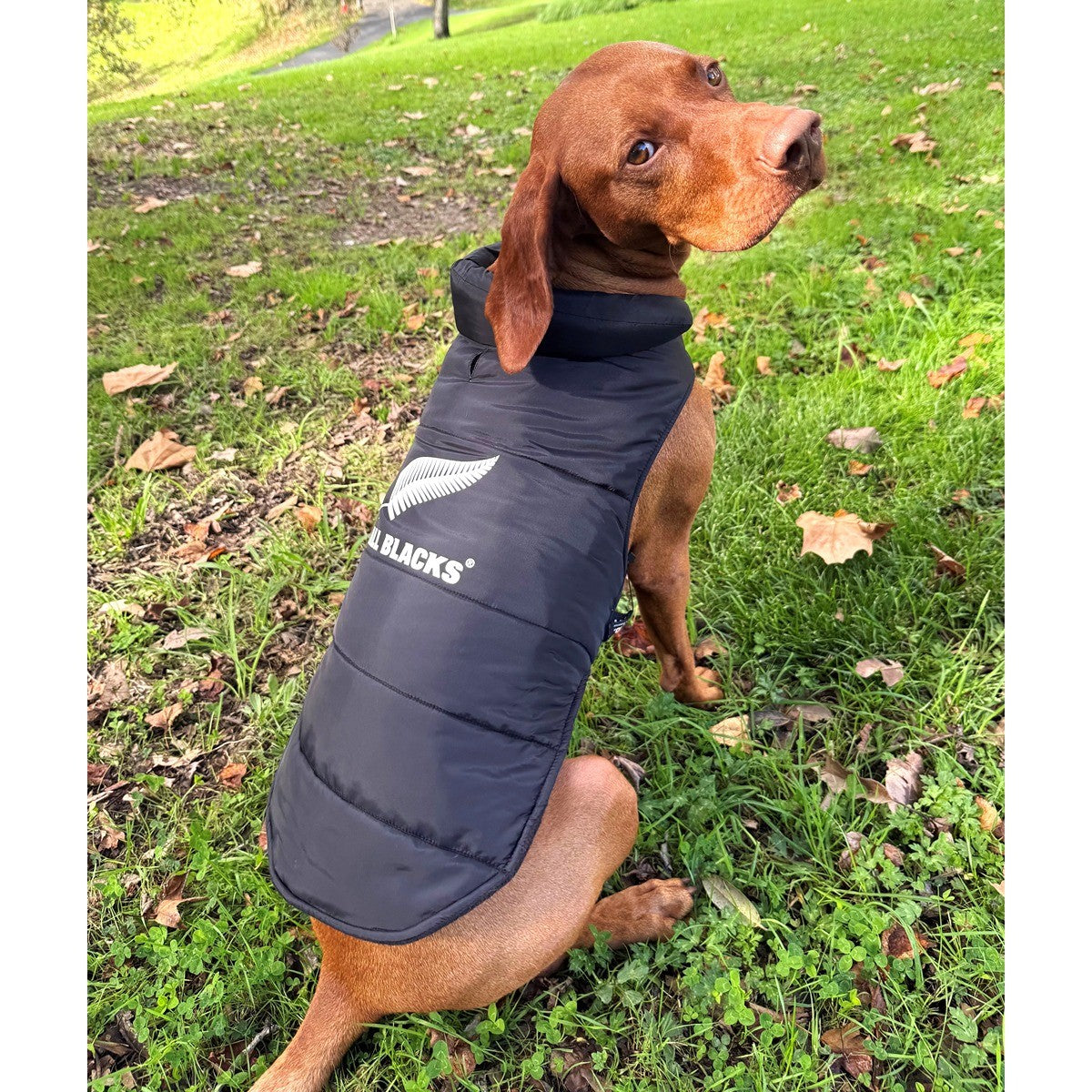 All Blacks Puffer Jacket for Dogs