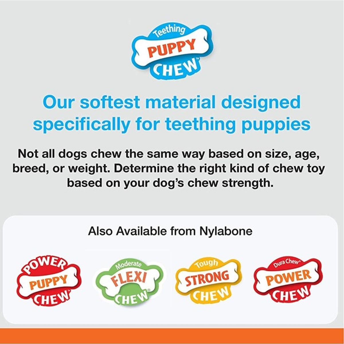 Nylabone X Bone Puppy Chew Toy