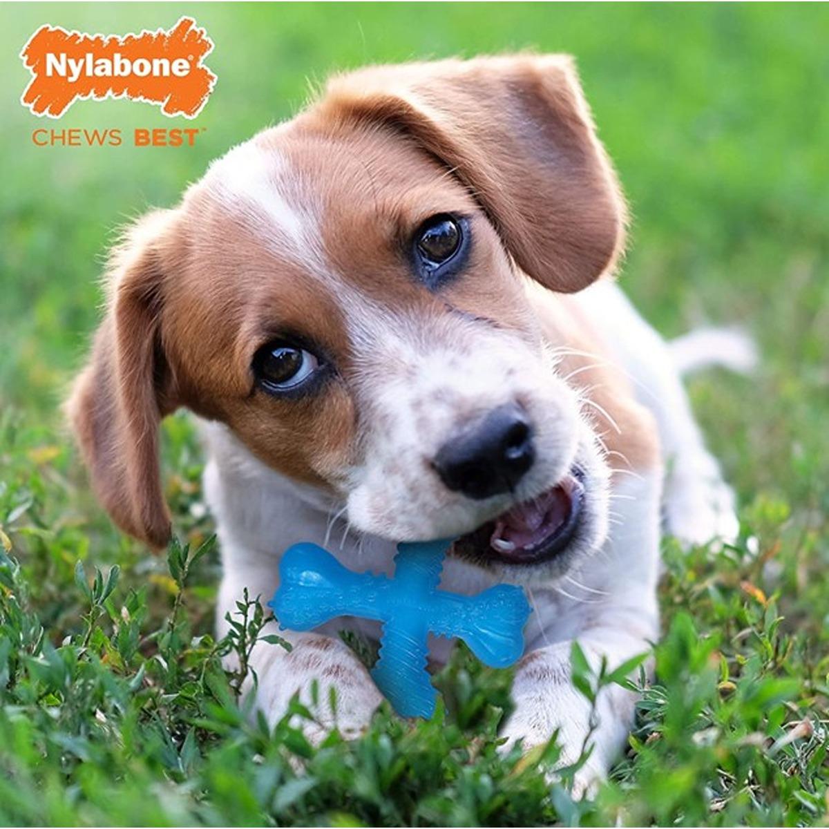 Nylabone X Bone Puppy Chew Toy