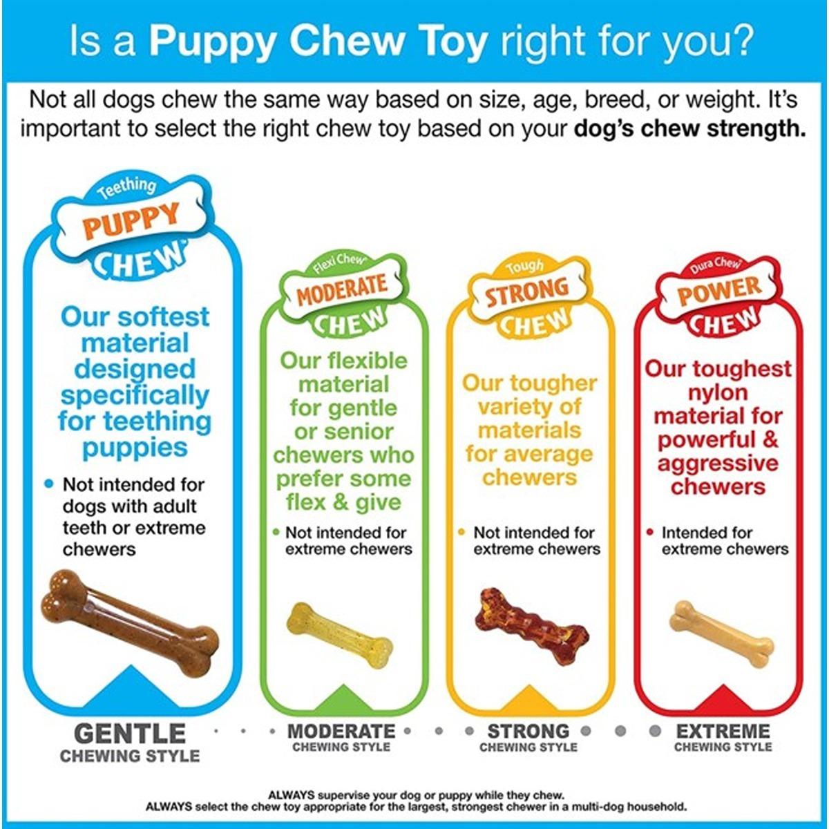 Nylabone X Bone Puppy Chew Toy