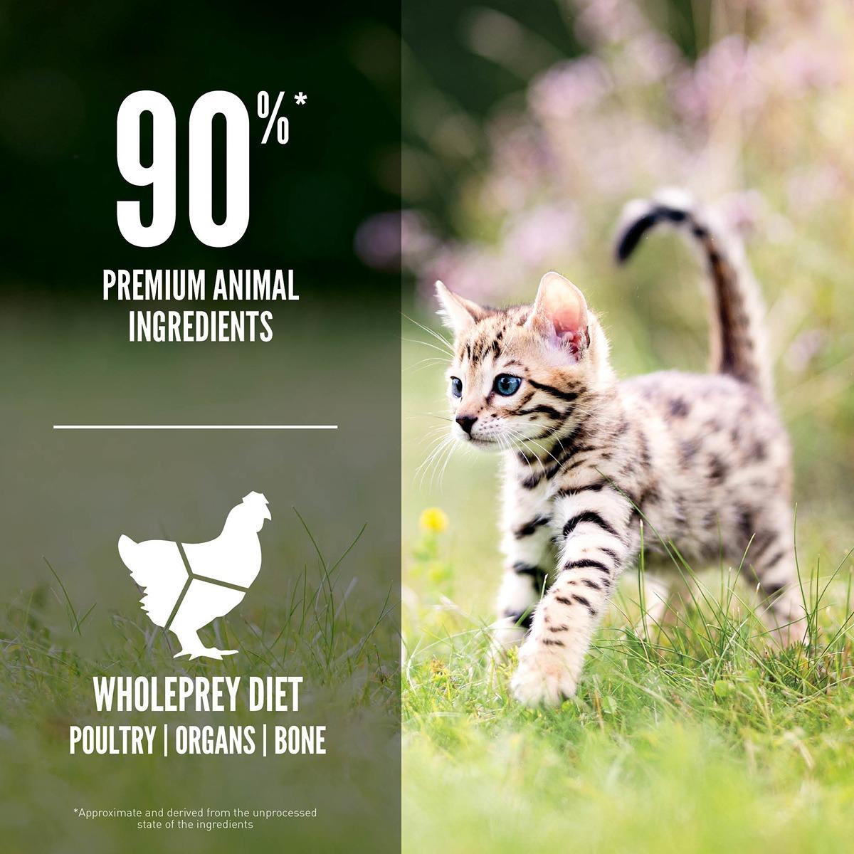 Orijen Kitten Recipe Dry Cat Food