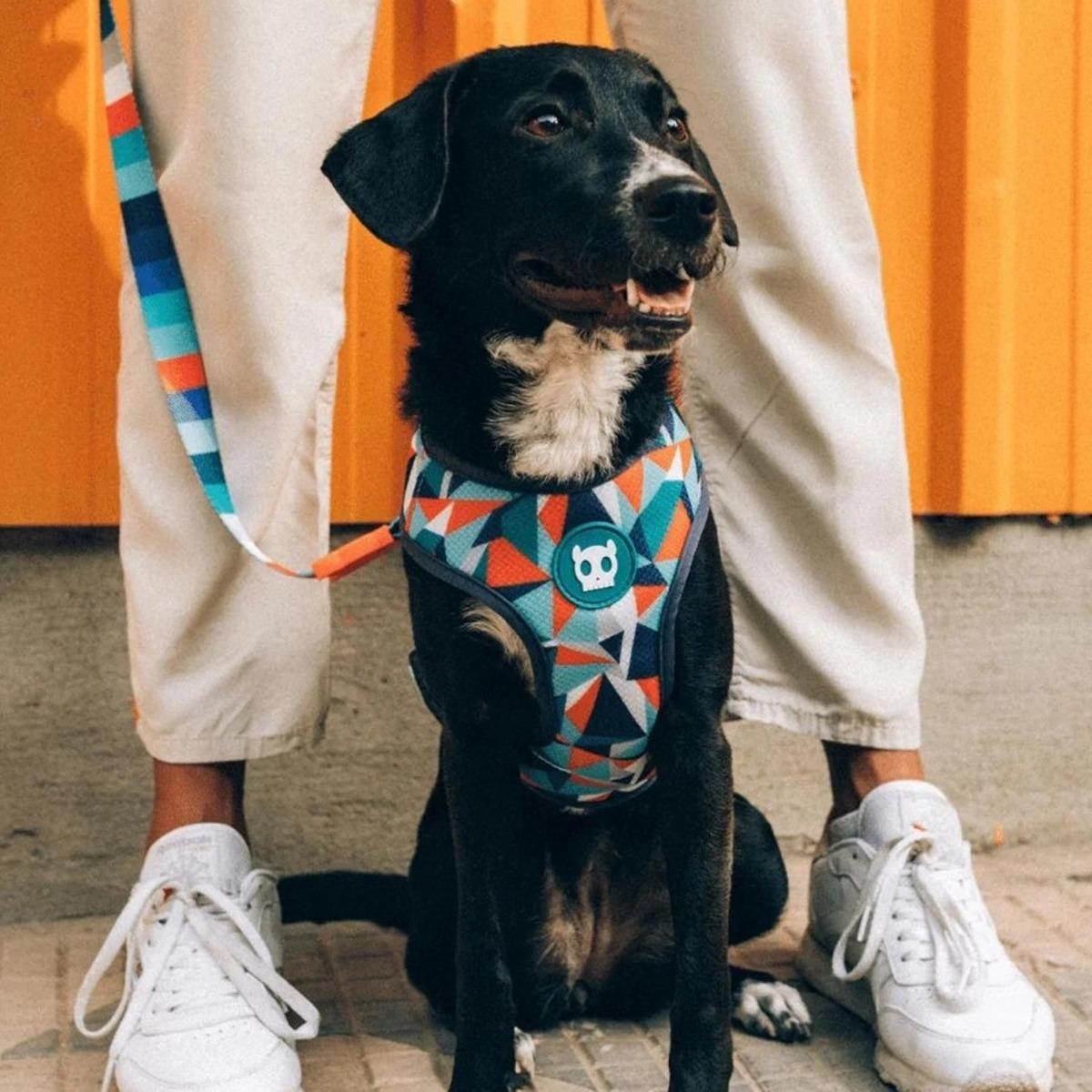 Zee.Dog Ella Adjustable Air Mesh Harness