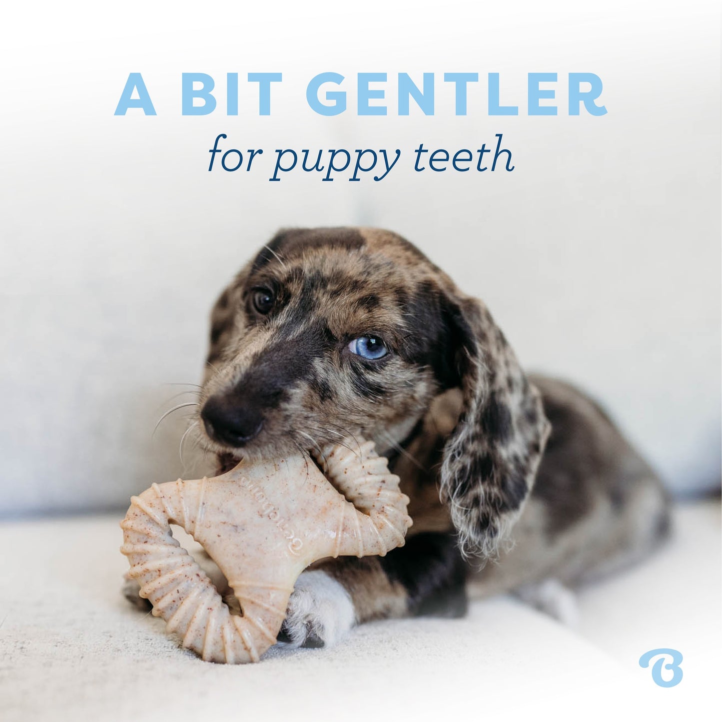 Benebone Puppy Dental Chew + Wishbone Bacon Flavoured