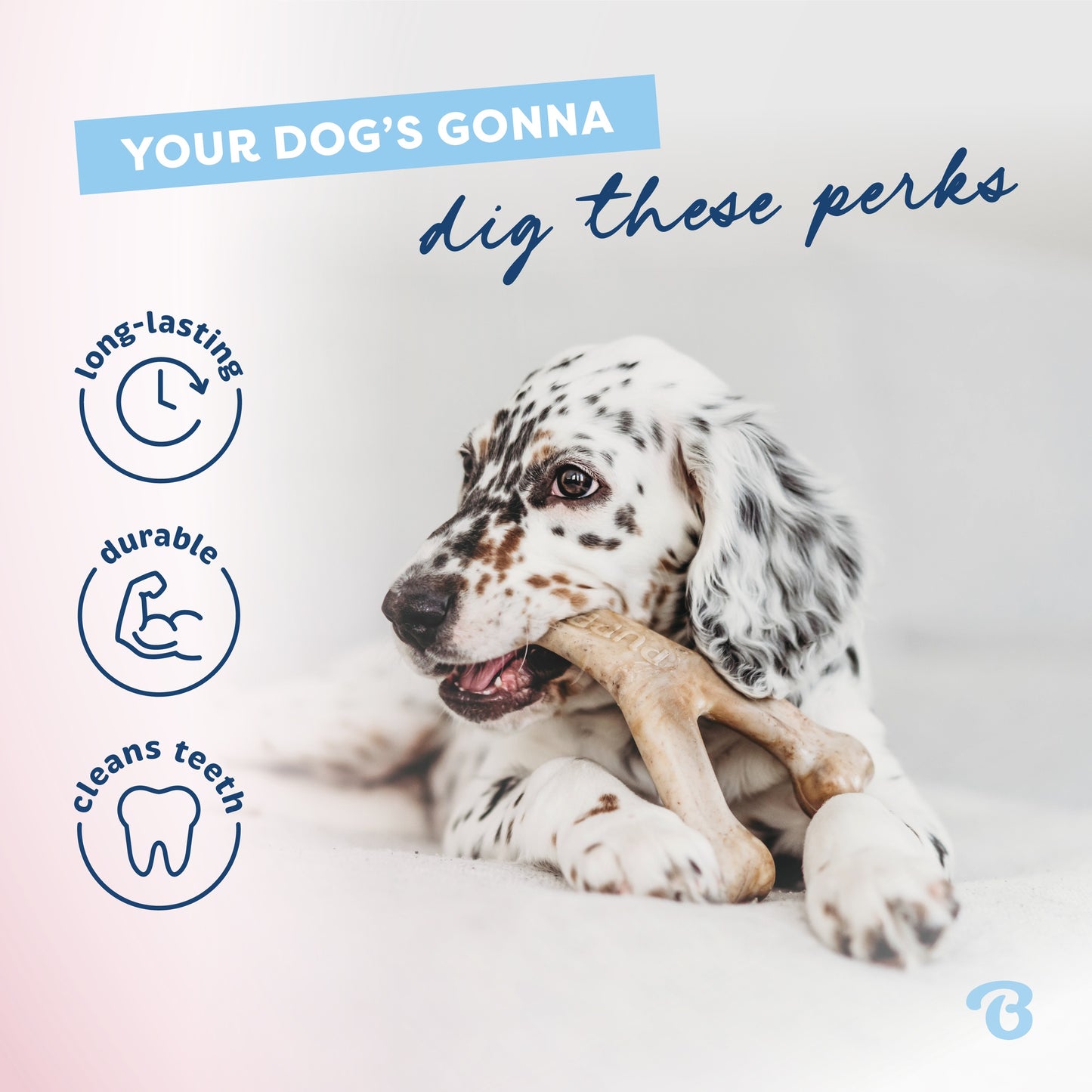Benebone Puppy Dental Chew + Wishbone Bacon Flavoured
