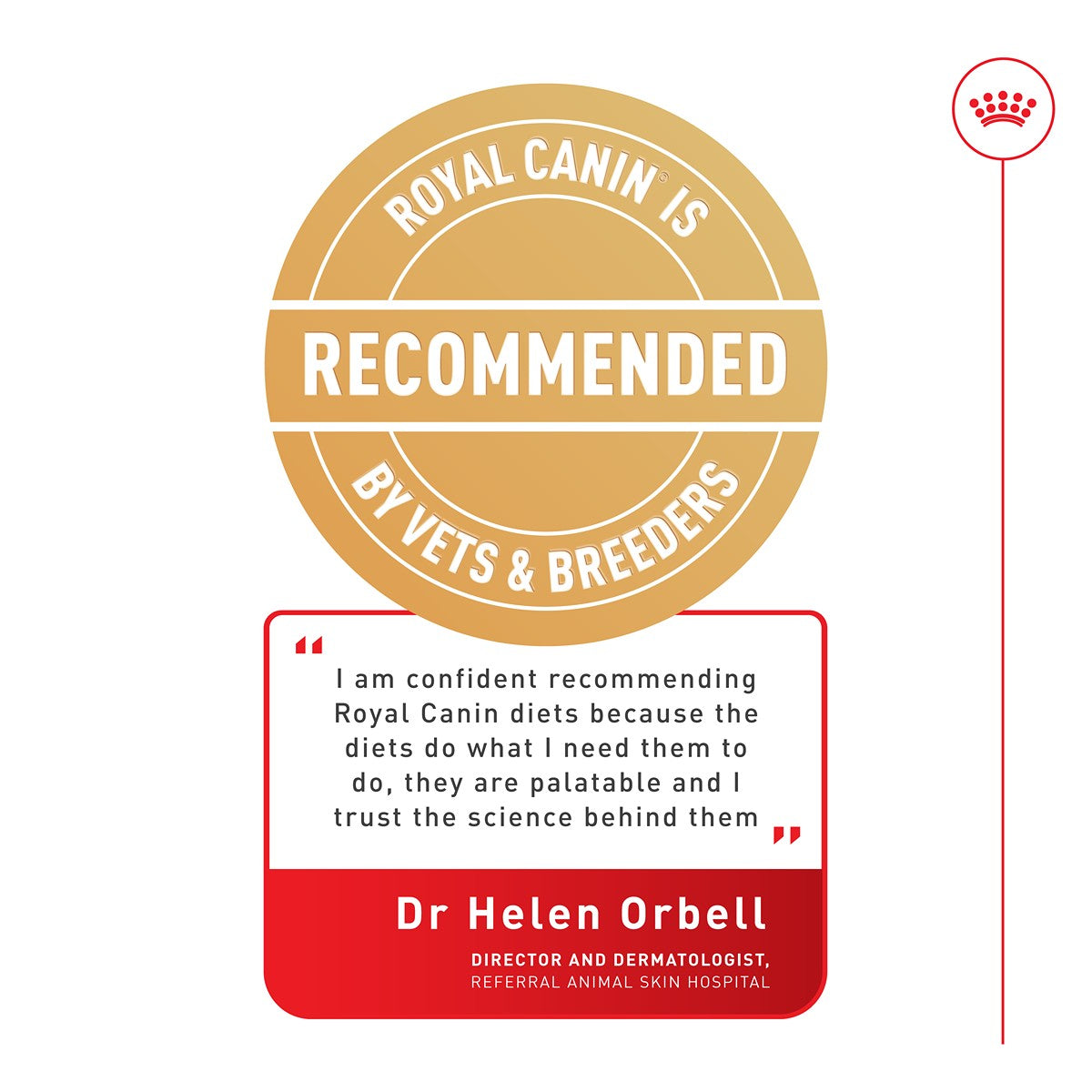 Royal Canin Maxi Dermacomfort Dry Dog Food