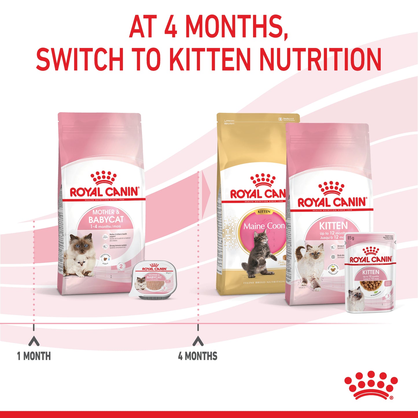 Royal Canin Mother & Baby Cat Dry Cat Food