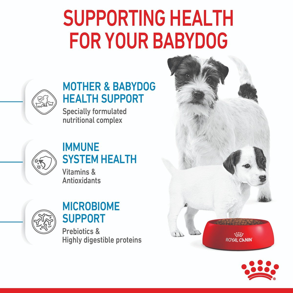 Royal Canin Mini Starter Puppy Dry Dog Food