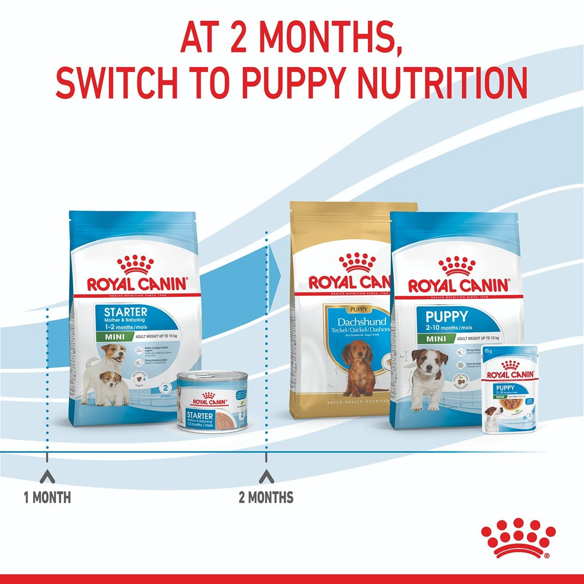 Royal Canin Mini Starter Puppy Dry Dog Food