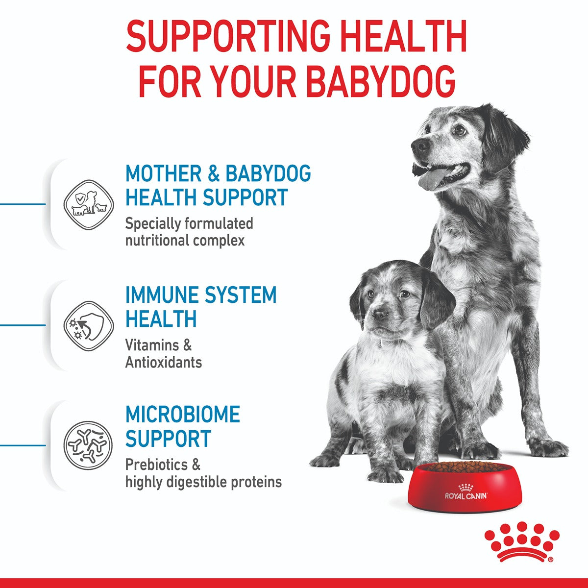 Royal Canin Medium Starter Mother & Babydog Dry Food