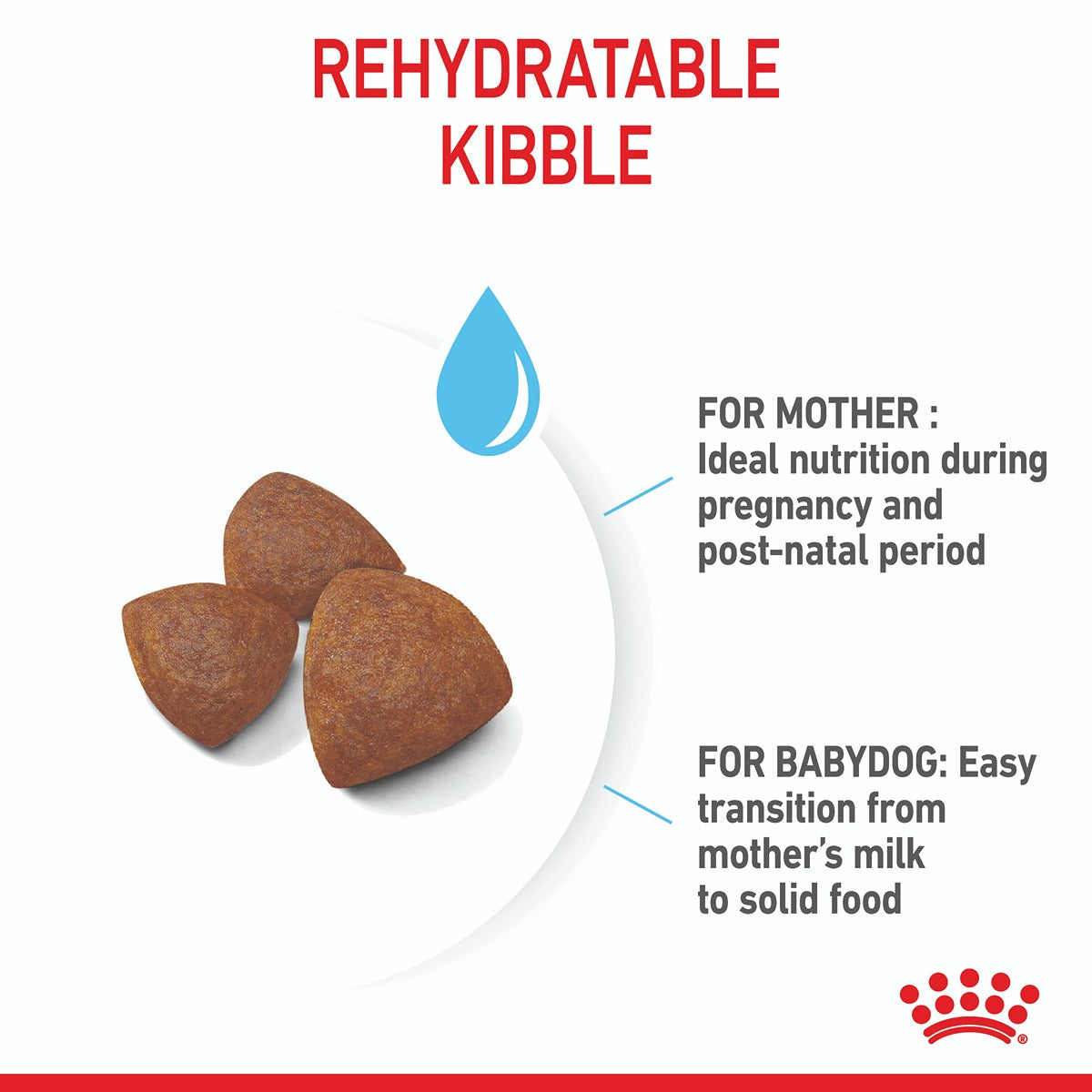 Royal Canin Medium Starter Mother & Babydog Dry Food