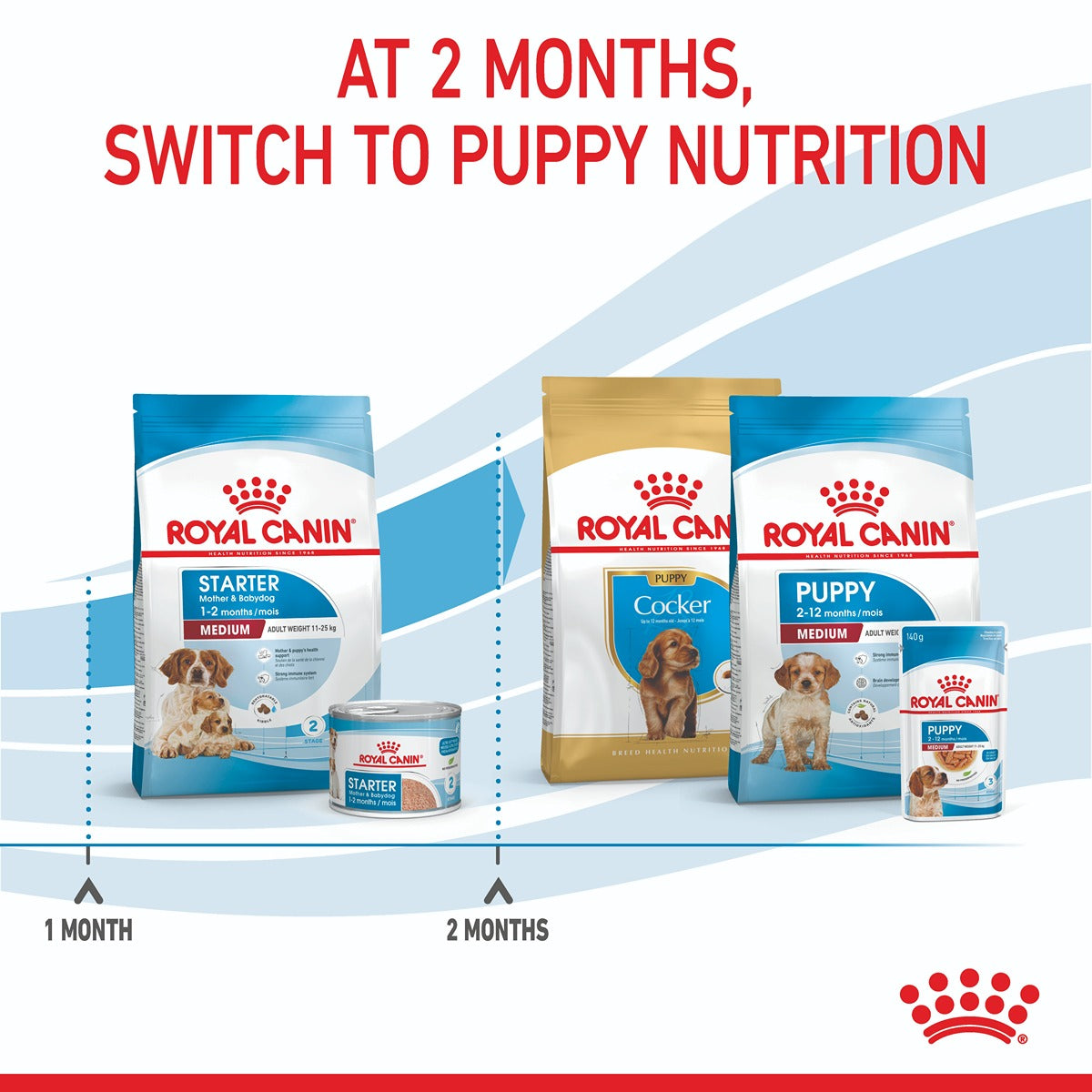 Royal Canin Medium Starter Mother & Babydog Dry Food