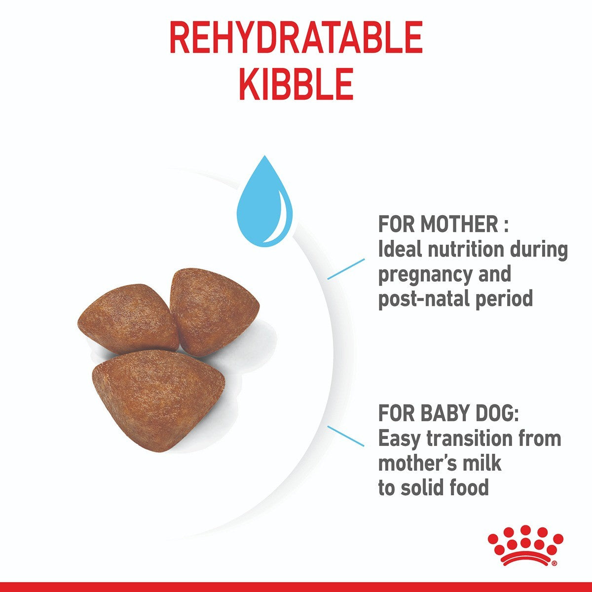 Royal Canin Mini Starter Puppy Dry Dog Food