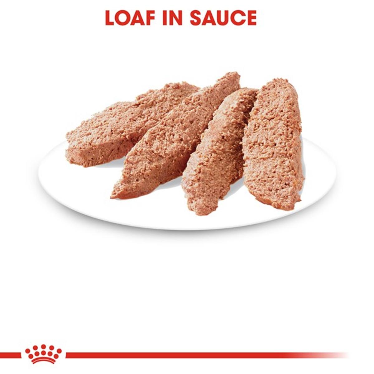 Royal Canin Instinctive Loaf Wet Adult Cat Food