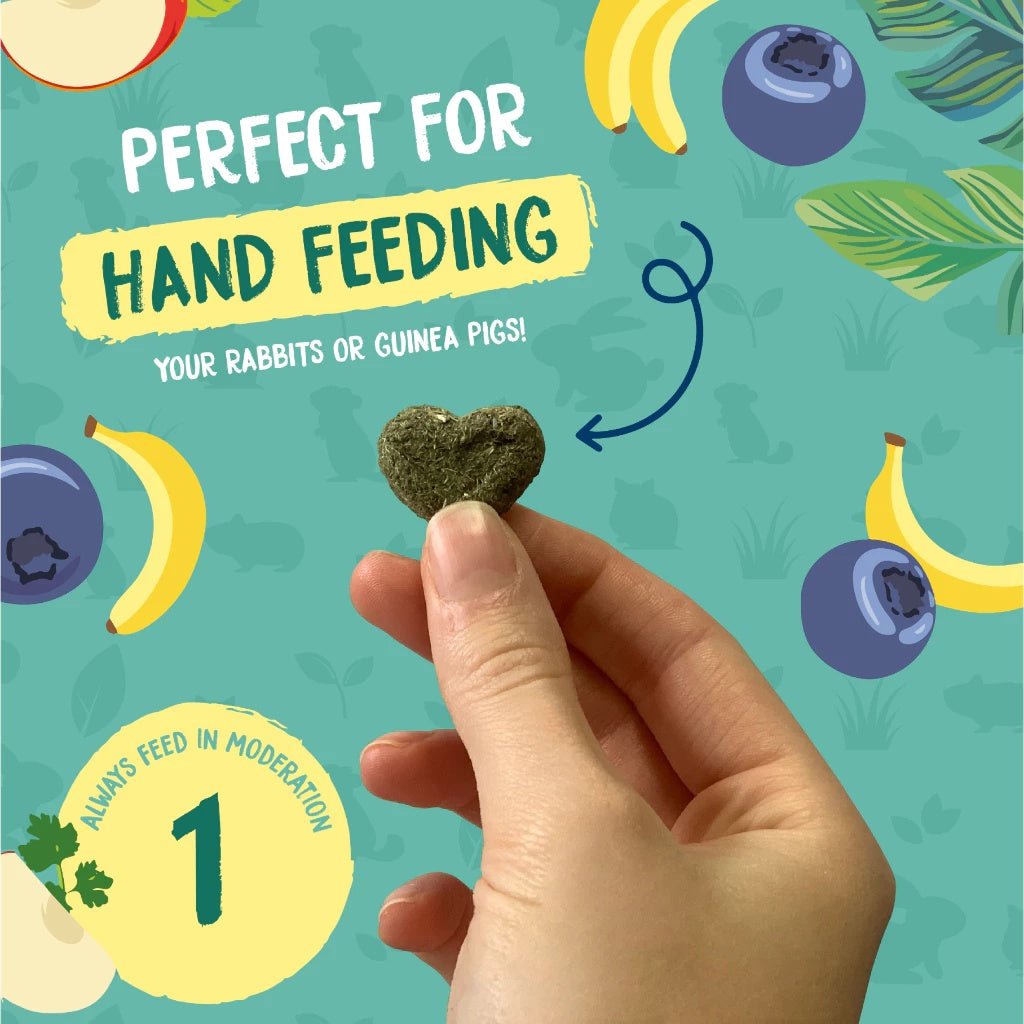 Burgess Fruity Feasts Small Animal Treats