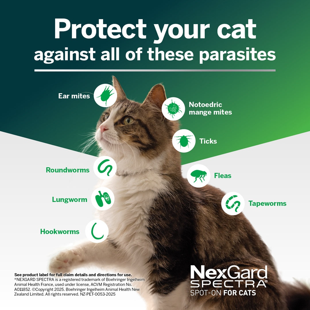 Nexgard Spectra Spot-on Treatment for Cats & Kittens 0.8-2.5kg