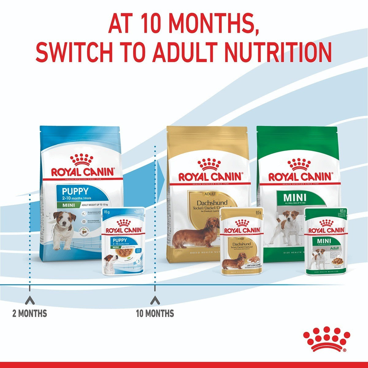 Royal Canin Mini Wet Puppy Food