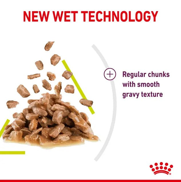 Royal Canin Sensory Smell in Gravy Wet Cat Food