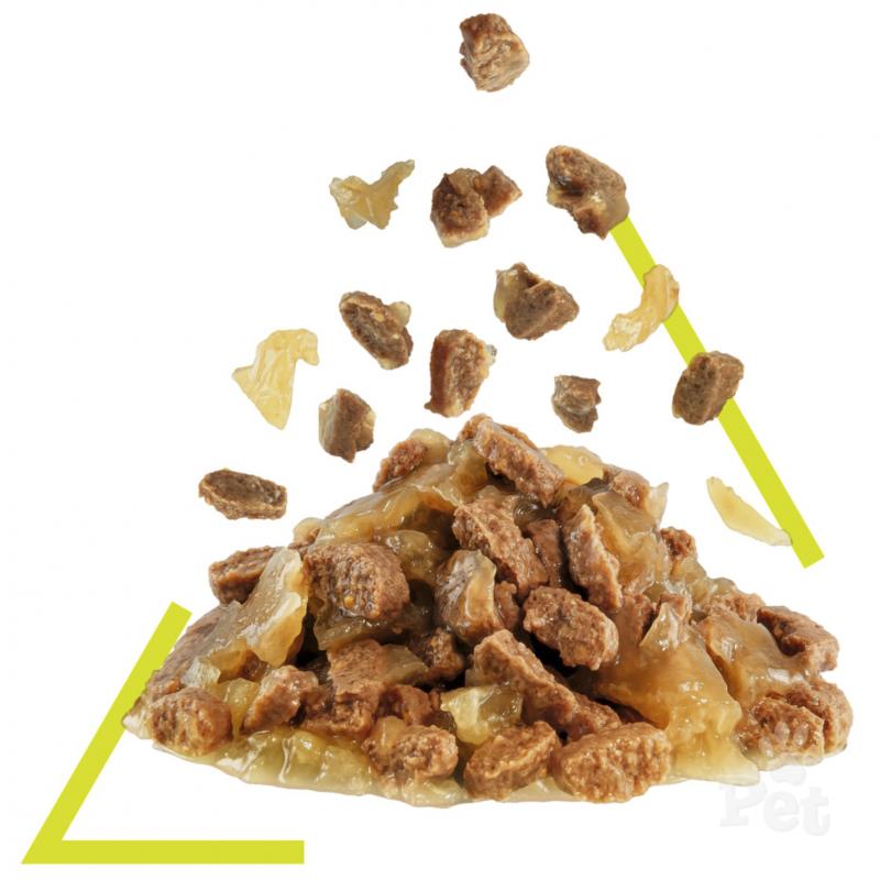 Royal Canin Sensory Smell in Jelly Wet Cat Food