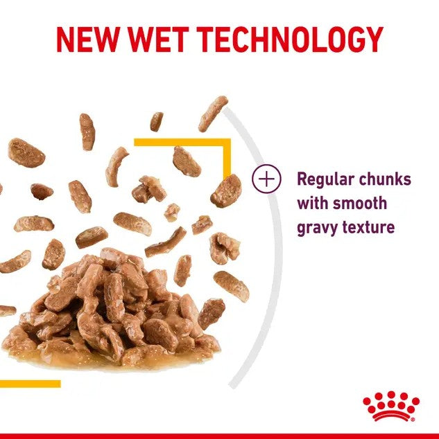Royal Canin Sensory Taste in Gravy Wet Cat Food
