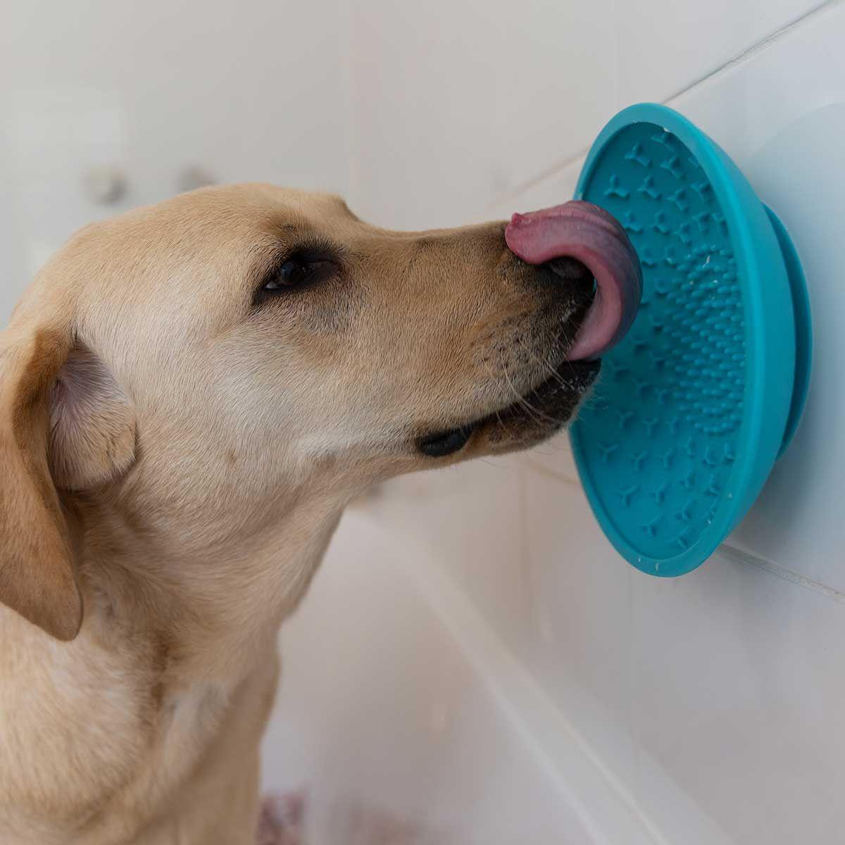 Lexi & Me Suction Cup Boredom Buster Licky Mat