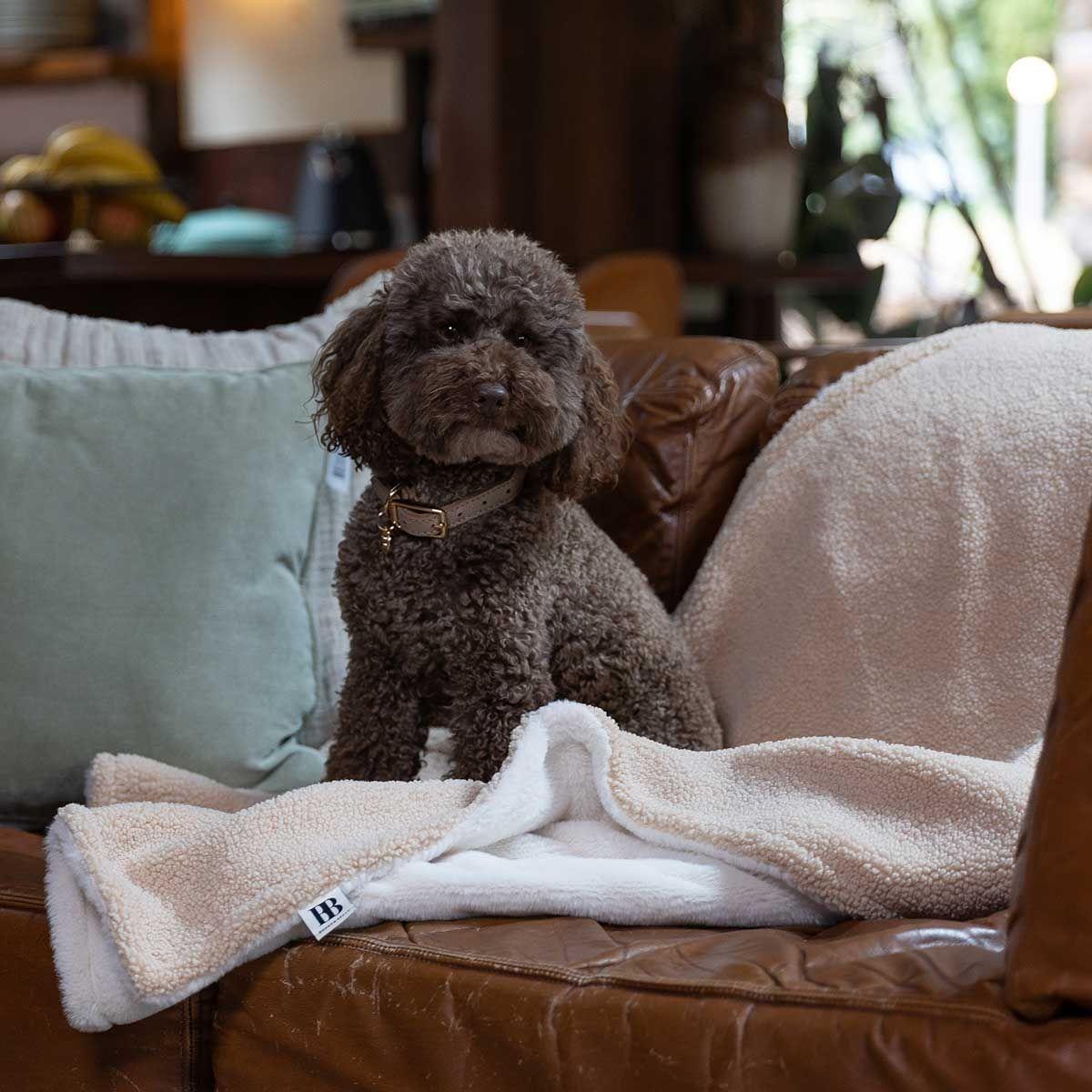 Buddy & Belle Reversible Biscotti Cream Blanket