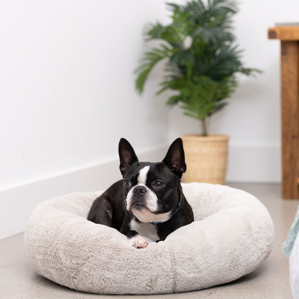 Lexi & Me Round Bed Taupe