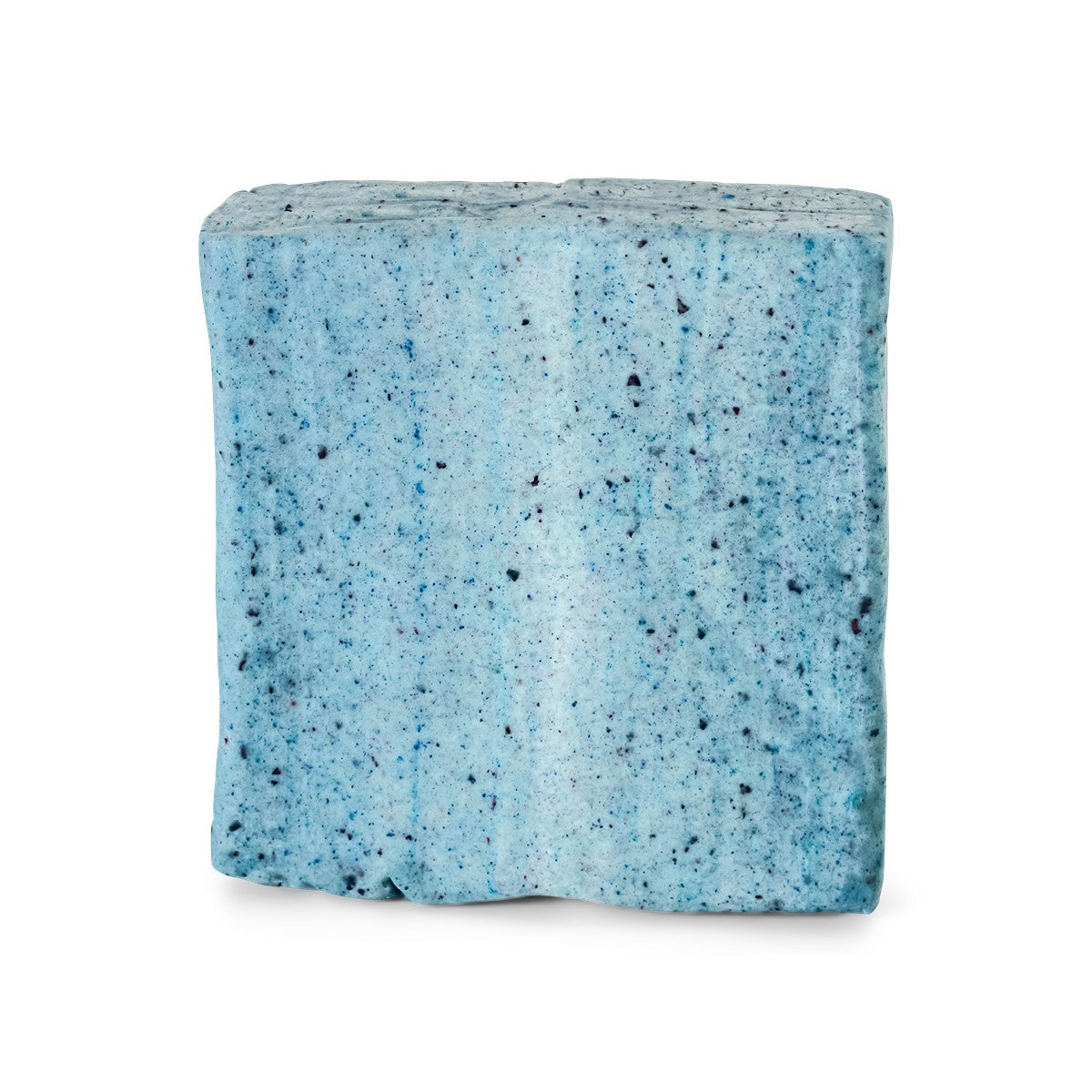 Topflite Wild Bird Energy Cake Blueberry