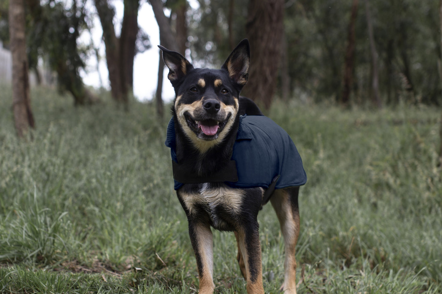 Ruff n Rugged Suedette Trench Coat Cadet Navy