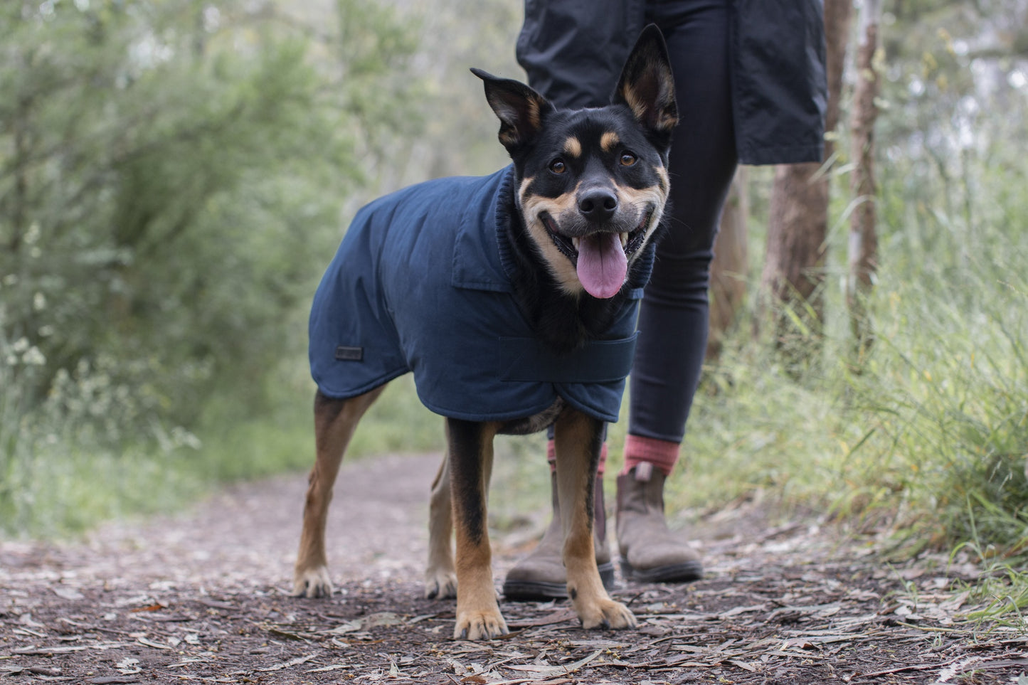 Ruff n Rugged Suedette Trench Coat Cadet Navy