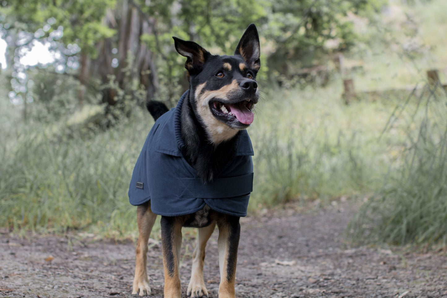 Ruff n Rugged Suedette Trench Coat Cadet Navy