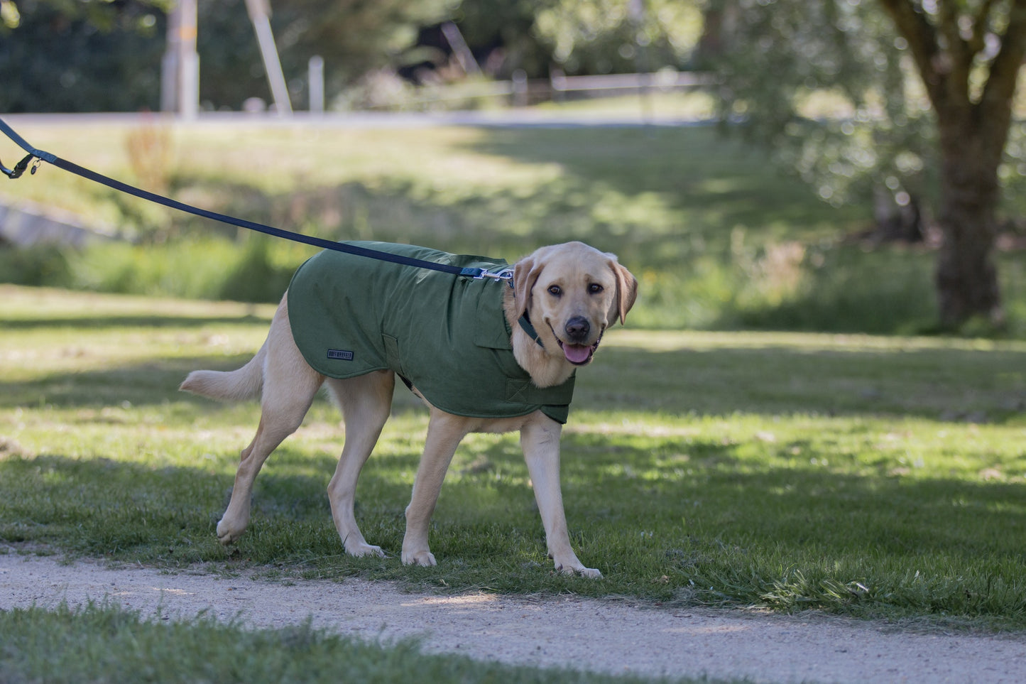 Ruff N Rugged Suedette Trench Coat Moss Green