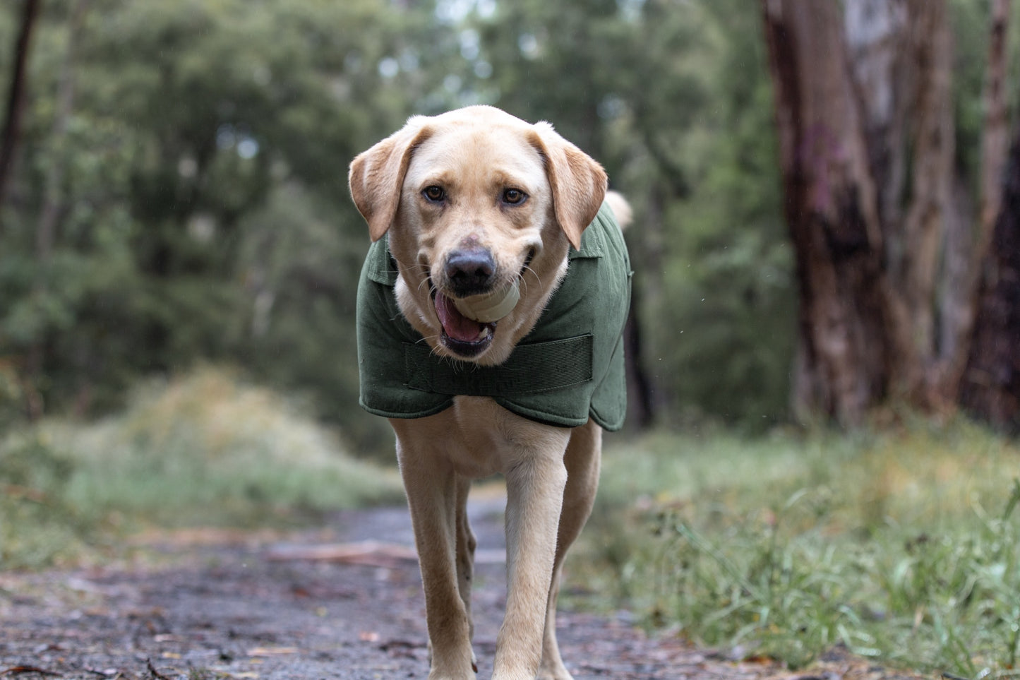 Ruff N Rugged Suedette Trench Coat Moss Green