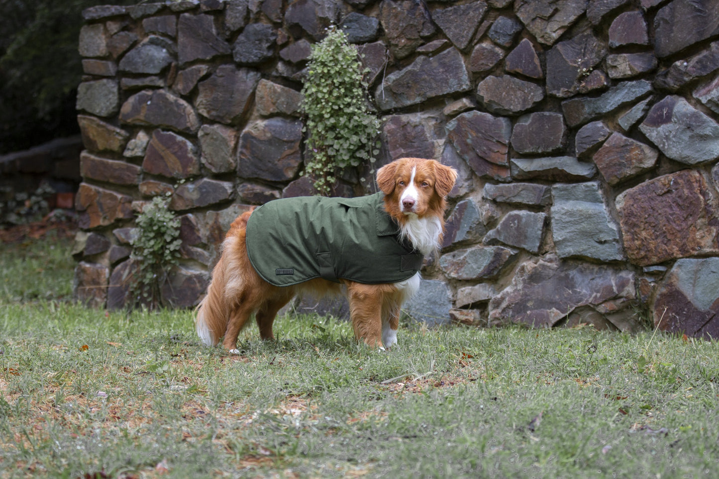 Ruff N Rugged Suedette Trench Coat Moss Green