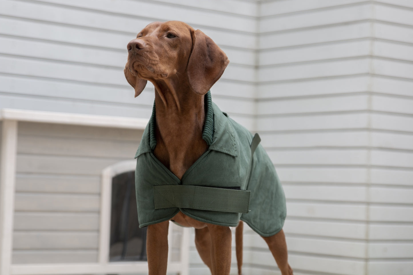 Ruff N Rugged Suedette Trench Coat Moss Green