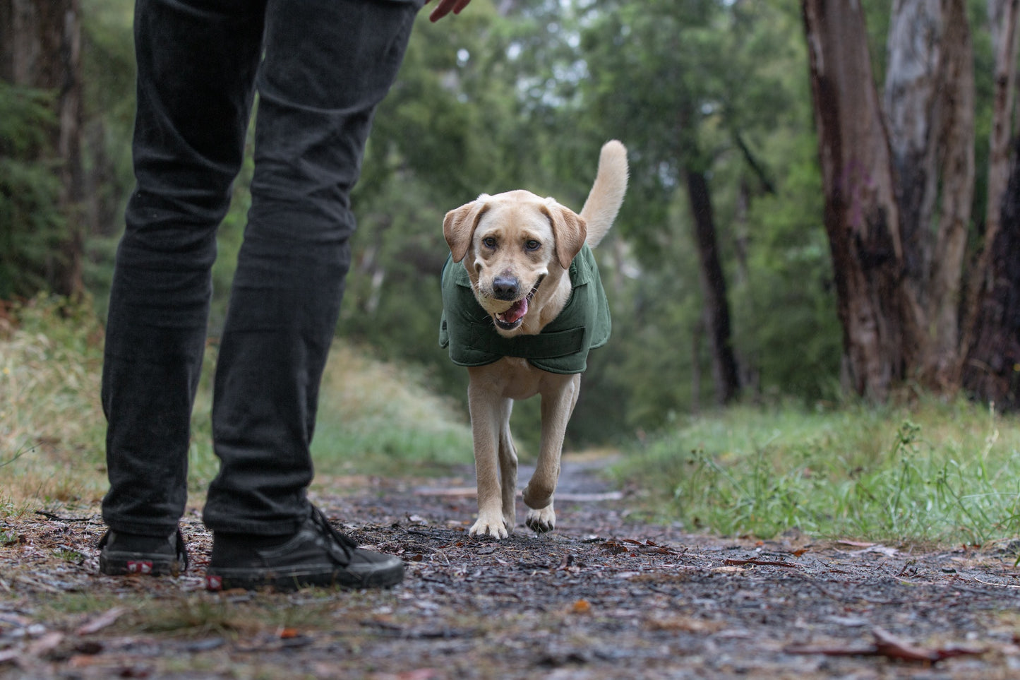 Ruff N Rugged Suedette Trench Coat Moss Green