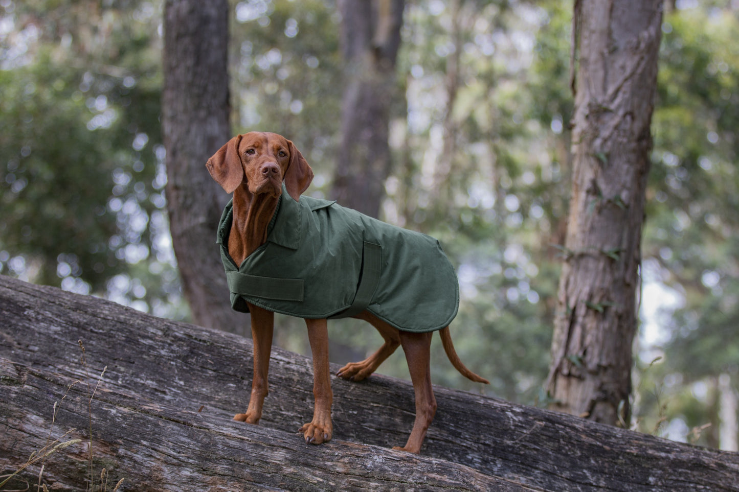 Ruff N Rugged Suedette Trench Coat Moss Green