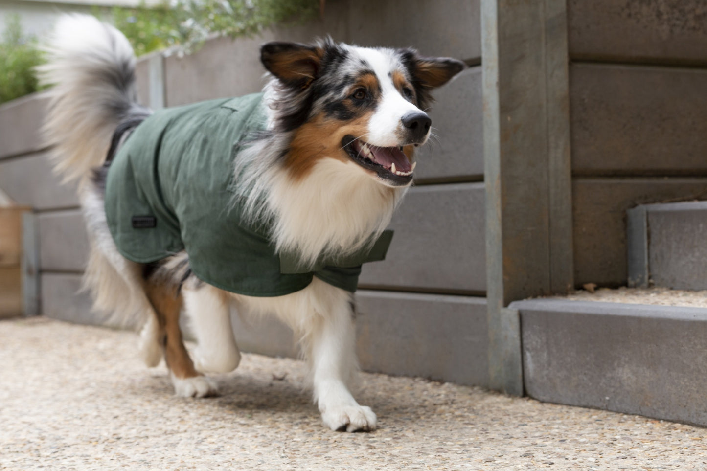 Ruff N Rugged Suedette Trench Coat Moss Green