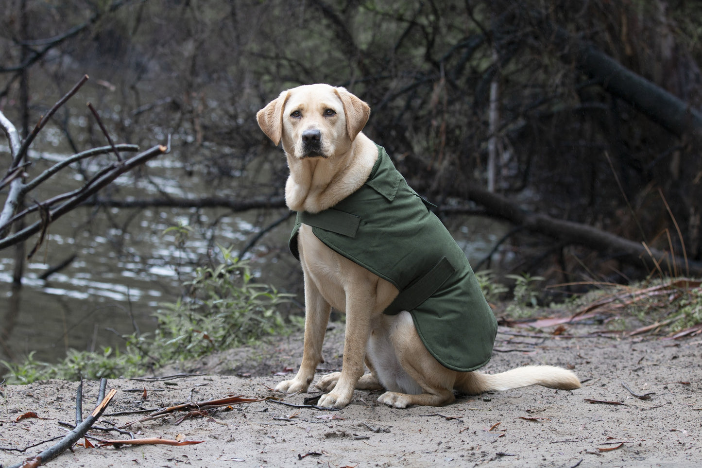 Ruff N Rugged Suedette Trench Coat Moss Green