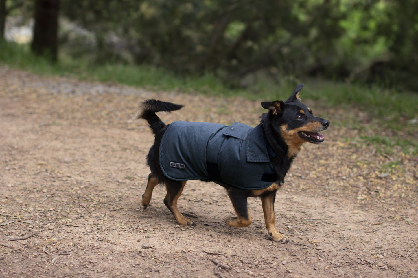 Ruff n Rugged Suedette Trench Coat Cadet Navy