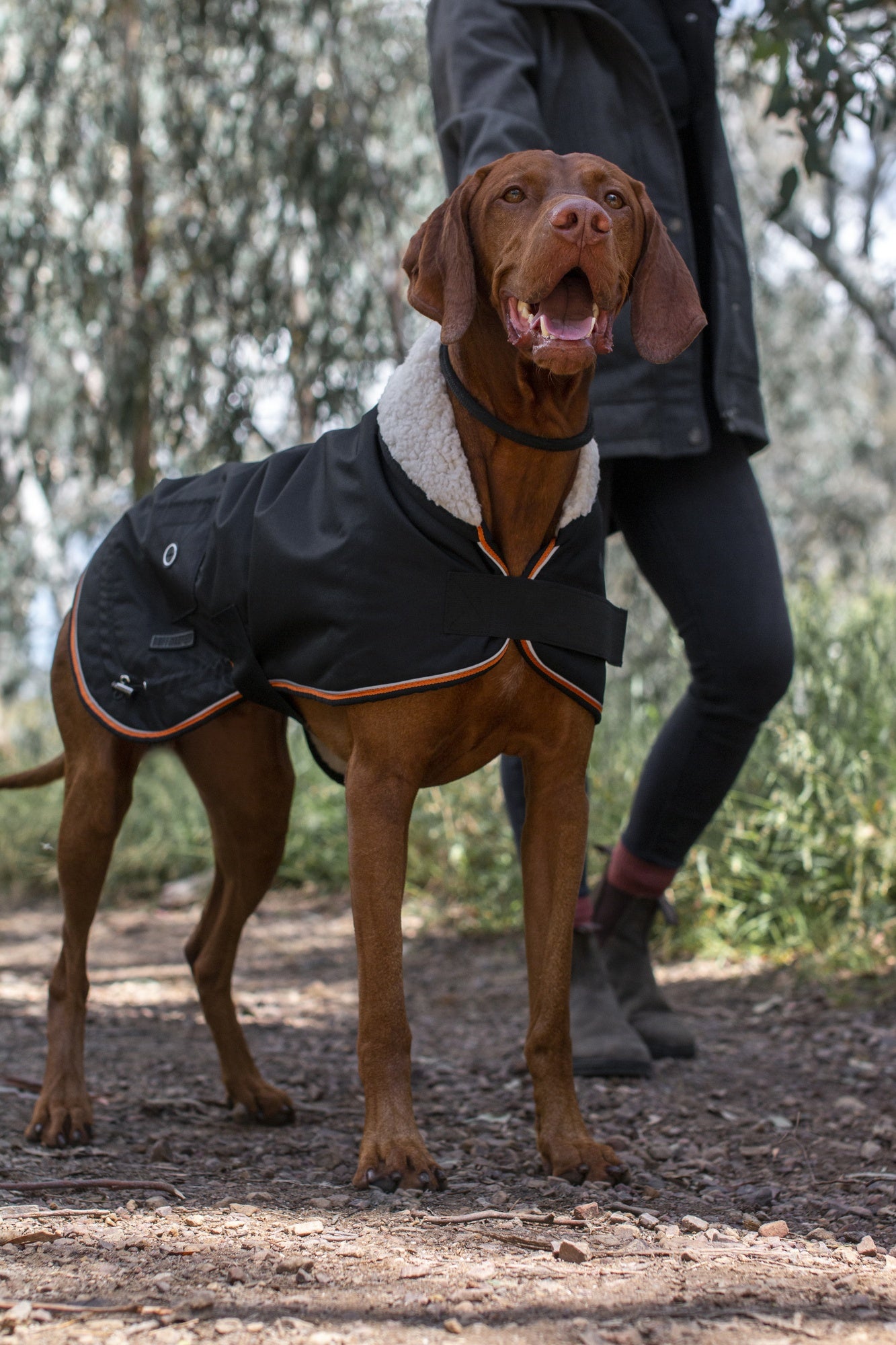 Ruff n Rugged Trail Blazer Dog Coat Black